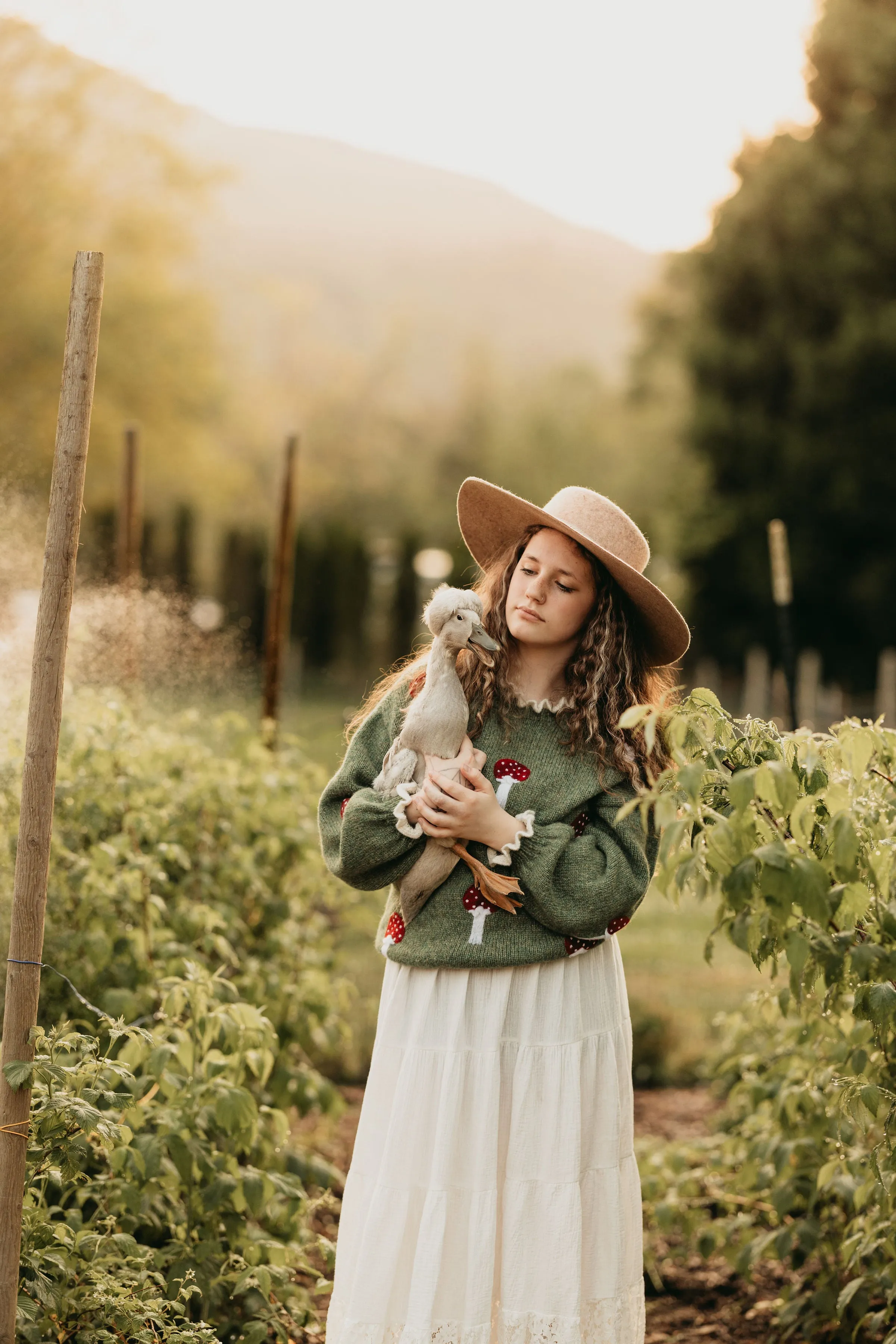 Adult Mushrooms pullover | Moss Green