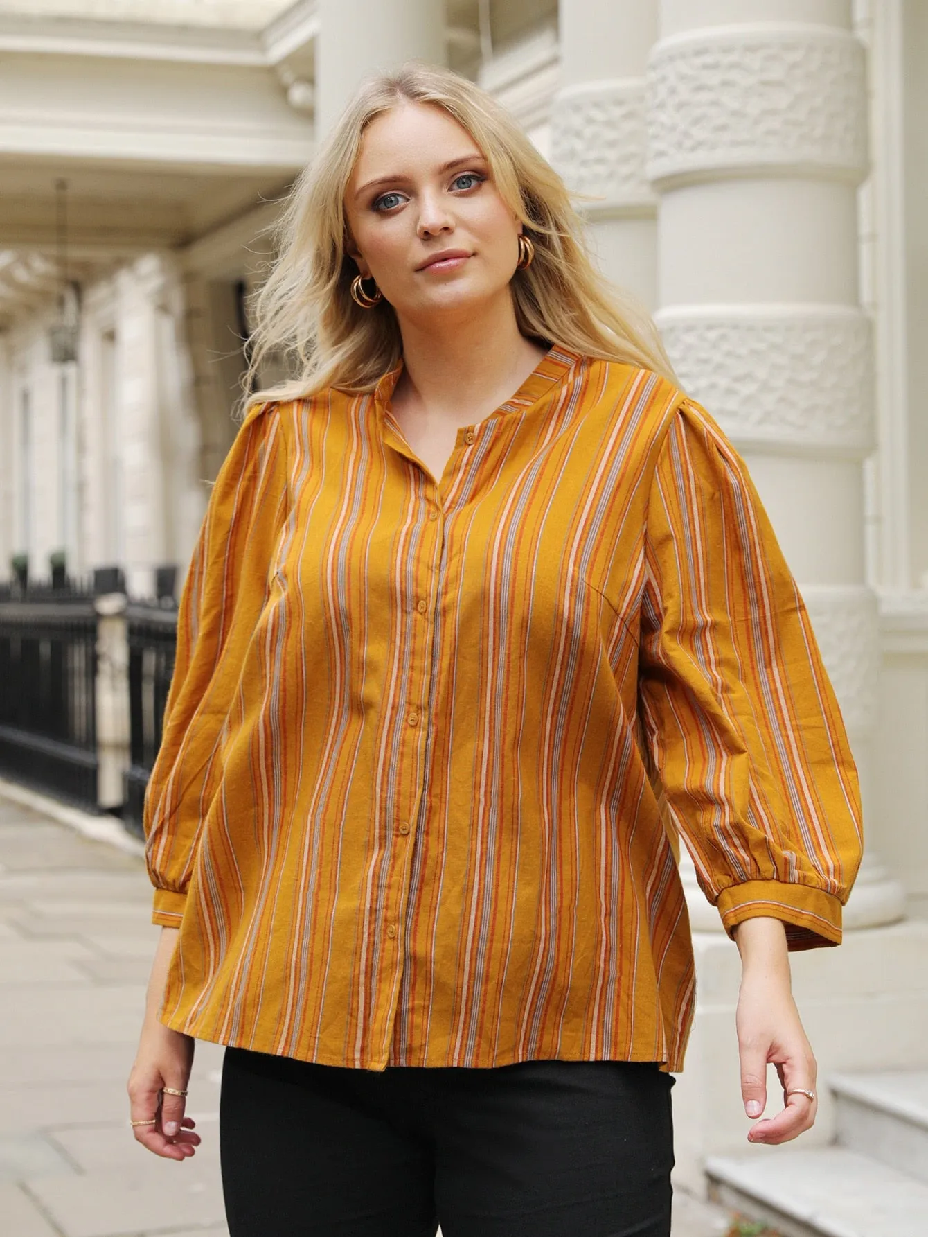 Casual Striped Button Front Three Quarter Length Sleeve Stand Collar Regular Plus Size Blouse