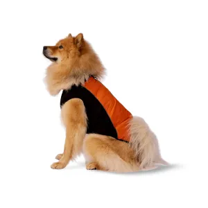 Trespaws Beedle Dog Padded Jacket