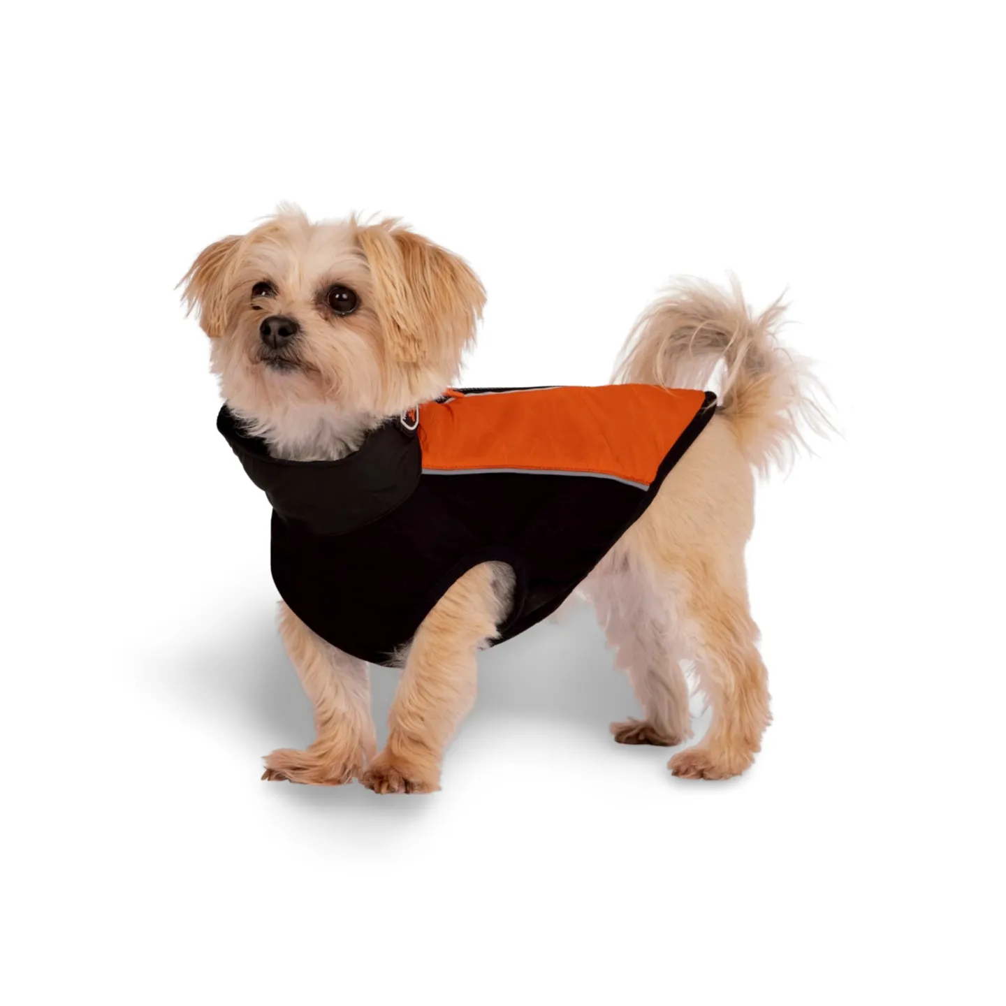 Trespaws Beedle Dog Padded Jacket