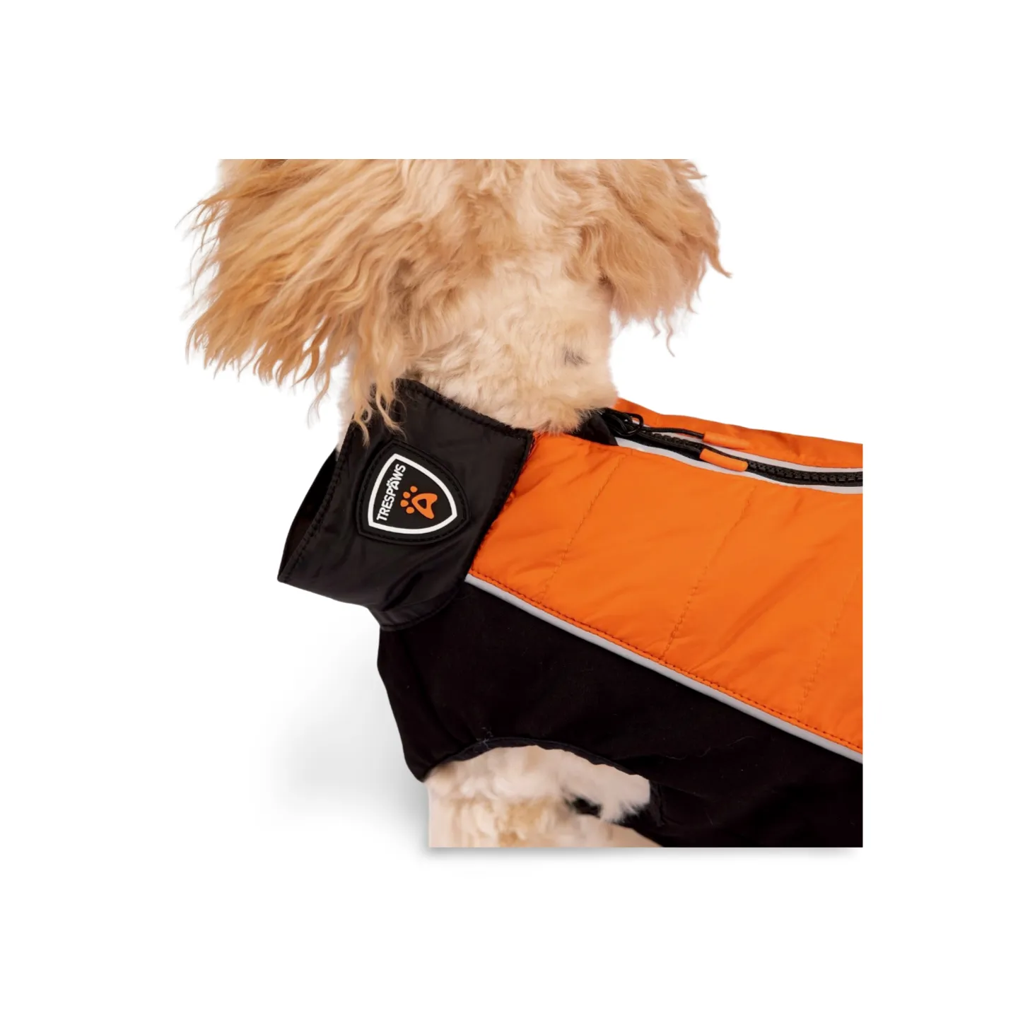 Trespaws Beedle Dog Padded Jacket