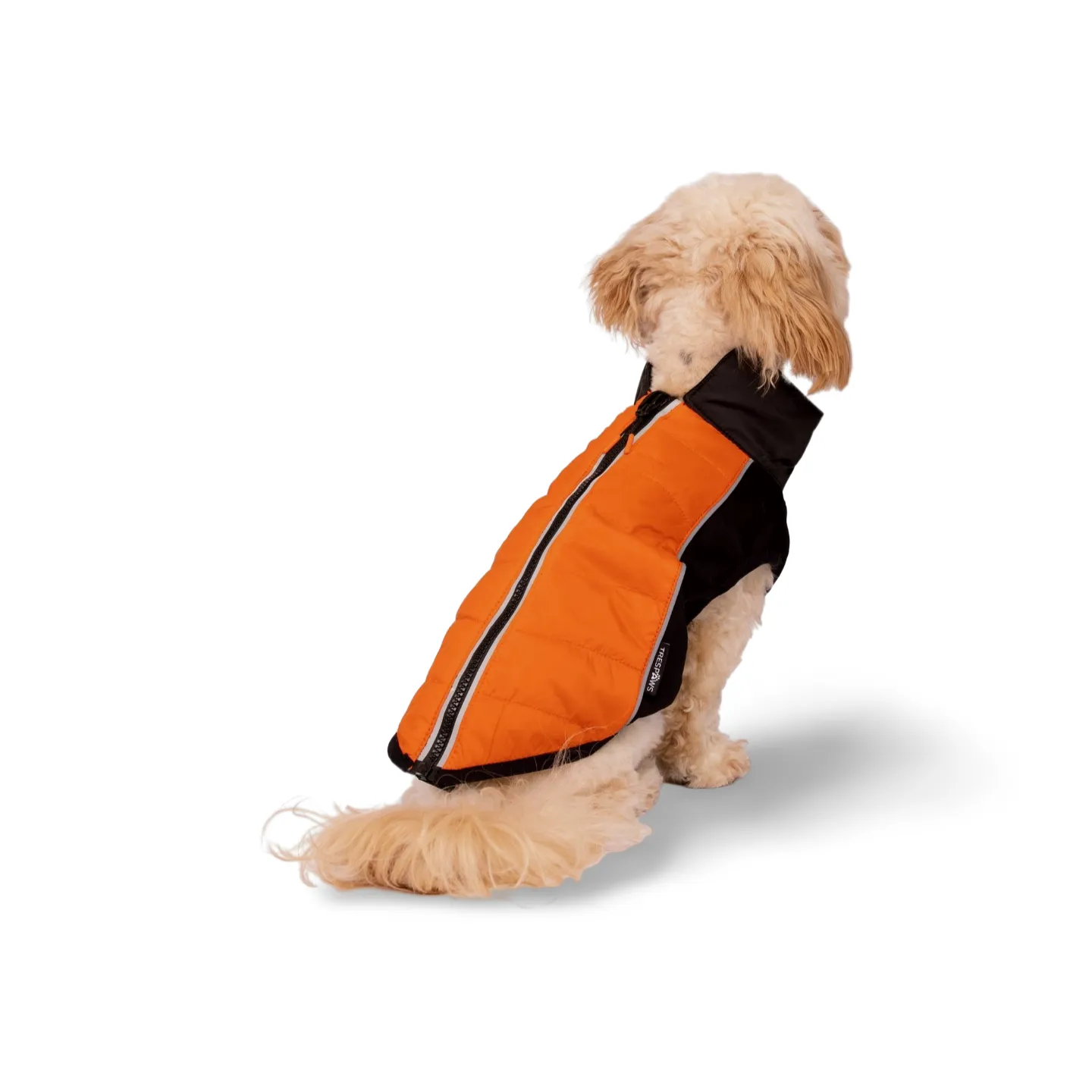 Trespaws Beedle Dog Padded Jacket